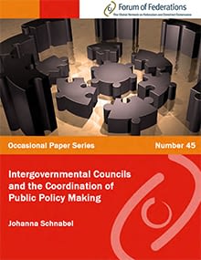 Intergovernmental Councils and the Coordination of Public Policy Making: Number 45